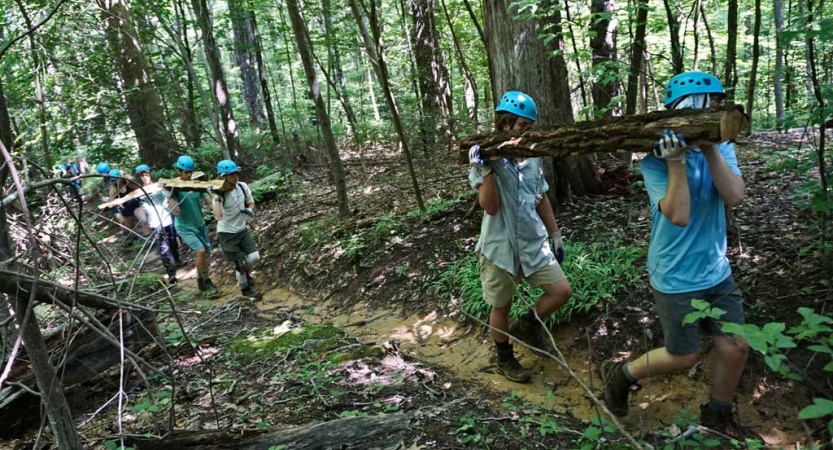 A group of students wearing gloves and helmets carry stumps along a trail in a wooded area. 